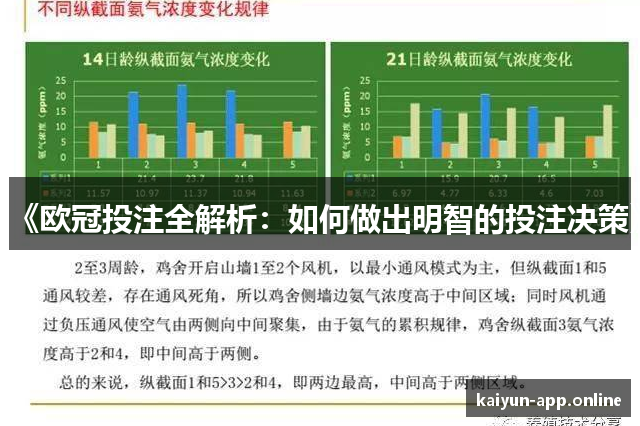 《欧冠投注全解析：如何做出明智的投注决策》