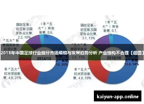 2018年中国足球行业细分市场规模与发展趋势分析 产业结构不合理【组图】